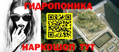 прущие крисы Кимры