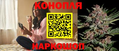 прущие крисы Кимры