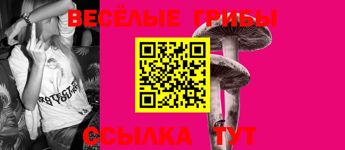 Краснодар  Галлюциногенные грибы Psilocybe  Вход с VPN  Псилоцибиновые грибы Cubensis 