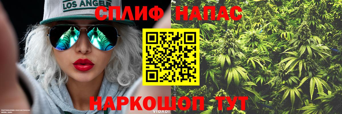 Краснодар  Бошки марихуана планчик  Вход с VPN  Шишки марихуана Amnesia  МАРИХУАНА VHQ 